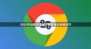 google-12
